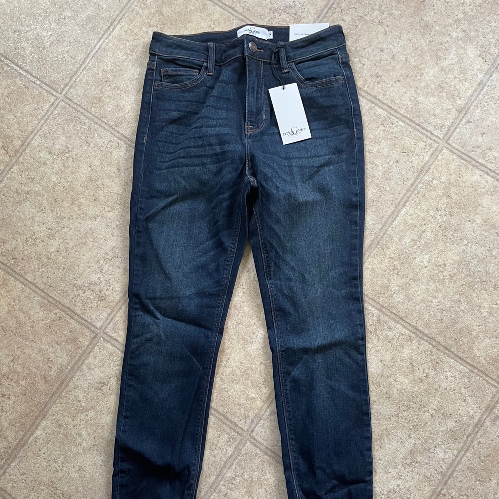 Carly Jean Los Angeles Hudson Jeans